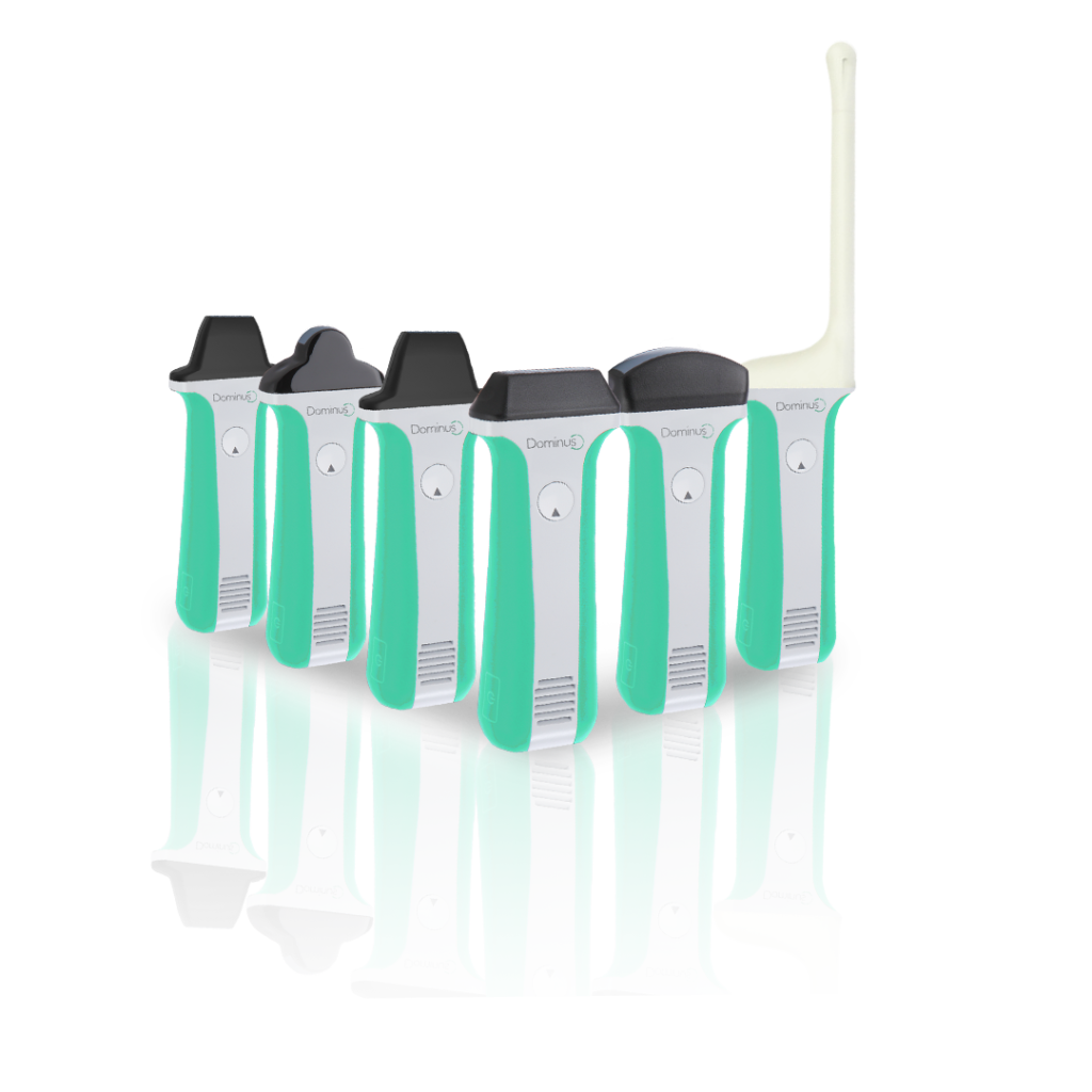 linha dominus